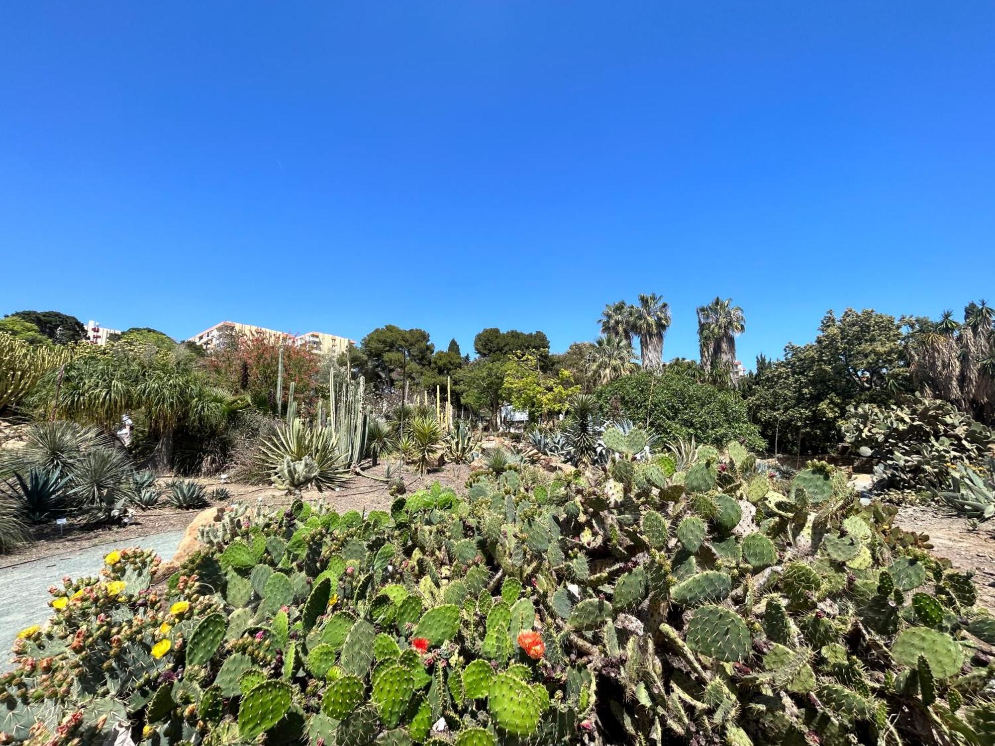 Acogedor Apartamento En Benalmadena Vistas Eksteriør bilde